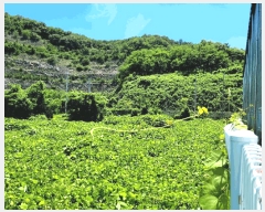  2025Ÿ��51664  ����������