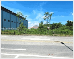  2025Ÿ��51664  ����������