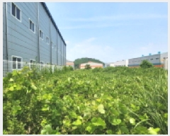  2025Ÿ��51664  ����������