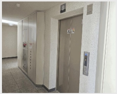  2025Ÿ��51682  ����Ʈ���