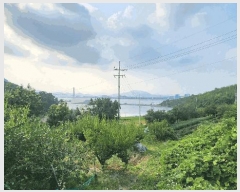  2025Ÿ��51694 ���� ������ ���̸� ���긮 248-32      ����(�Ӿ�)���