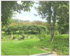  2025Ÿ��51694 ���� ������ ���̸� ���긮 248-32      ����(�Ӿ�)���