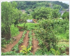  2025Ÿ��51706 ���� ��õ�� ��뵿 579-1       ����(��)���