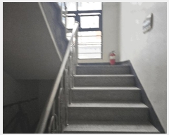  2025Ÿ��51712  �ټ���(����)���