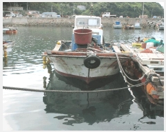  2025Ÿ51721           ڰ