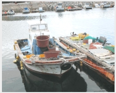  2025Ÿ51721           ڰ