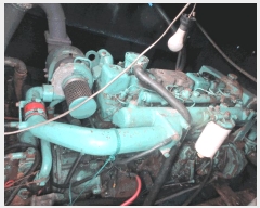  2025Ÿ51721           ڰ