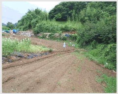  2025Ÿ��51751 ���� ����� ������ �žƸ� 210-1      ����(��)���