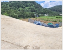  2025Ÿ��51751 ���� ����� ����� �űݸ� 1807      ����(����)���