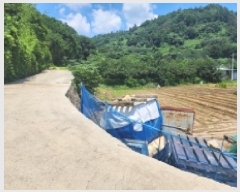  2025Ÿ��51751 ���� ����� ����� �űݸ� 1807      ����(����)���