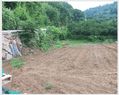  2025Ÿ��51751 ���� ����� ������ �žƸ� 210-1      ����(��)���