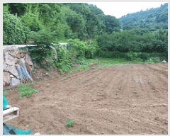  2025Ÿ��51751 ���� ����� ������ �žƸ� 210-1      ����(��)���