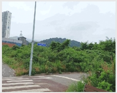  2025Ÿ��51751 ���� ����� ������ �žƸ� 210-1      ����(��)���