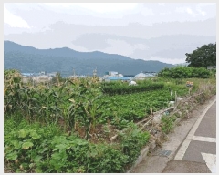  2025Ÿ��51751 ���� ����� ������ �žƸ� 210-1      ����(��)���