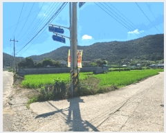  2025Ÿ��51763  ����