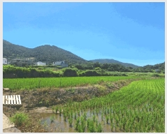  2025Ÿ��51763  ����