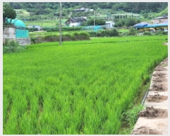  2025Ÿ��51763  ����