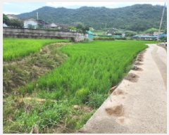  2025Ÿ��51763  ����