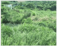  2025Ÿ��51770 ���� ���ﱺ �ݻ�� ������ 221      ����(��)���