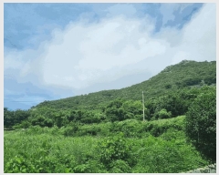  2025Ÿ��51770 ���� ���ﱺ �ݻ�� ������ 221      ����(��)���