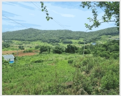  2025Ÿ��51770 ���� ���ﱺ �ݻ�� ������ 221      ����(��)���