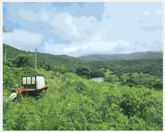  2025Ÿ��51770 ���� ���ﱺ �ݻ�� ������ 221      ����(��)���