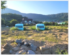  2025Ÿ��51770 ���� ���ﱺ �ݻ�� ������ 221      ����(��)���