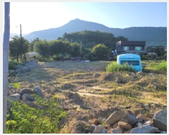  2025Ÿ��51770 ���� ���ﱺ �ݻ�� ������ 221      ����(��)���