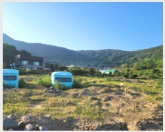  2025Ÿ��51770 ���� ���ﱺ �ݻ�� ������ 221      ����(��)���