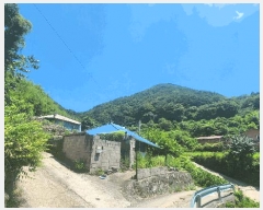  2025Ÿ��51796 ���� ��õ�� ������ ������ ��263      ����(�Ӿ�)���