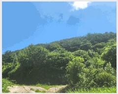  2025Ÿ��51796 ���� ��õ�� ������ ������ ��263      ����(�Ӿ�)���