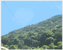  2025Ÿ��51796 ���� ��õ�� ������ ������ ��263      ����(�Ӿ�)���