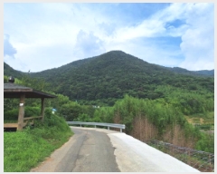  2025Ÿ��51796 ���� ��õ�� ������ ������ ��263      ����(�Ӿ�)���