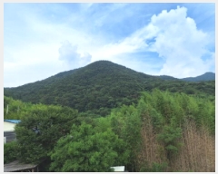  2025Ÿ��51796 ���� ��õ�� ������ ������ ��263      ����(�Ӿ�)���