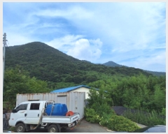  2025Ÿ��51796 ���� ��õ�� ������ ������ ��263      ����(�Ӿ�)���