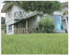  2025Ÿ��51845 ���� ������ ȸõ�� ������ 438      ���ð��