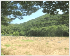  2025Ÿ��51862 ���� ����� ��Ȳ�� ��3-2       ����(�Ӿ�)���