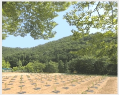  2025Ÿ��51862 ���� ����� ��Ȳ�� ��3-2       ����(�Ӿ�)���