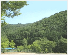  2025Ÿ��51862 ���� ����� ��Ȳ�� ��3-2       ����(�Ӿ�)���