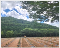  2025Ÿ��51862 ���� ����� ��Ȳ�� ��3-2       ����(�Ӿ�)���