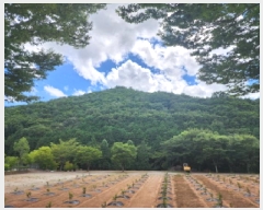  2025Ÿ��51862 ���� ����� ��Ȳ�� ��3-2       ����(�Ӿ�)���