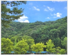  2025Ÿ��51862 ���� ����� ��Ȳ�� ��3-2       ����(�Ӿ�)���