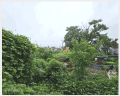  2025Ÿ��51868 ���� ��õ�� ��õ�� 116-2       ���ð��