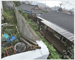  2025Ÿ��51868 ���� ��õ�� ��õ�� 116-2       ���ð��