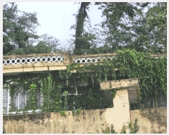  2025Ÿ��51868 ���� ��õ�� ��õ�� 116-2       ���ð��