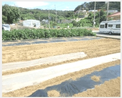  2025Ÿ��51928 ���� ������ ���̸� ���긮 1475-6      ����(����)���