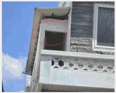  2025Ÿ��51940 ���� ������ ��ȭ�� 1293-1       ���ð��