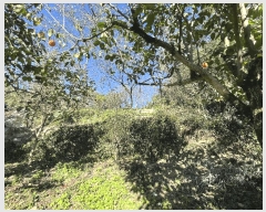  2025Ÿ��51995 ���� ������ ������ ������ 402      ����(��1)���