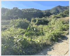  2025Ÿ��51995 ���� ������ ������ ������ 402      ����(��1)���