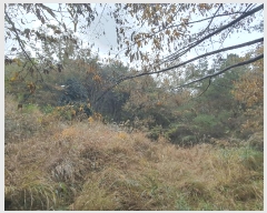  2025Ÿ��51995 ���� ������ ������ ������ 402      ����(��1)���